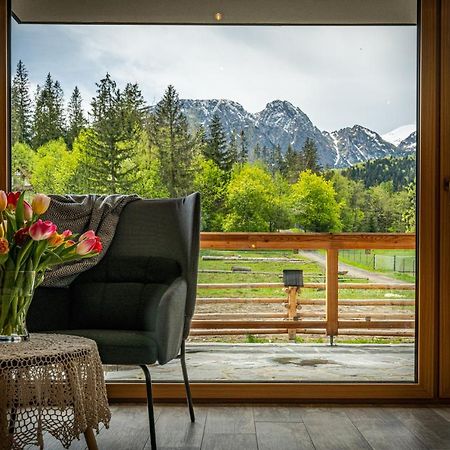 Bialy Mis Apartamenty Art & Design Zakopane Esterno foto
