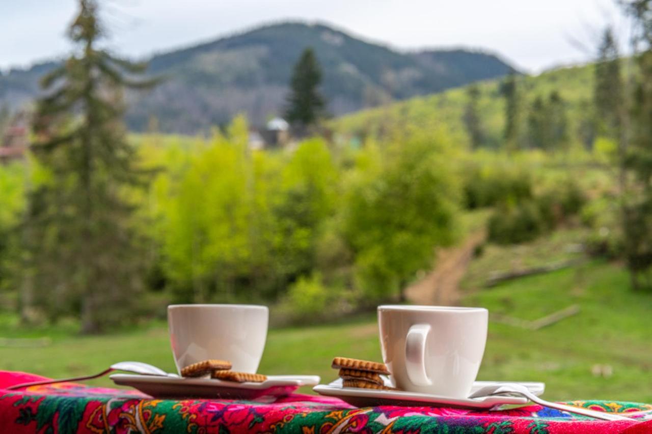 Bialy Mis Apartamenty Art & Design Zakopane Esterno foto