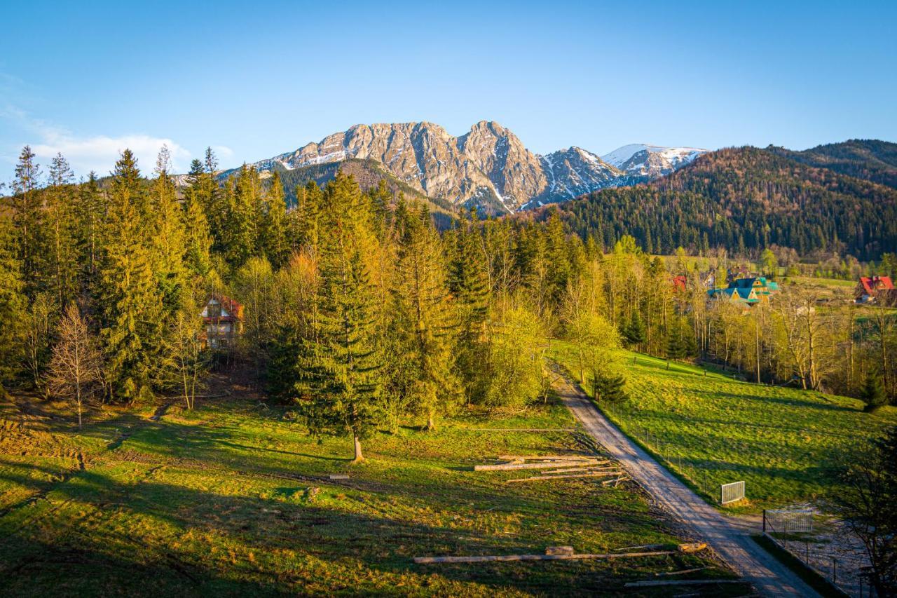 Bialy Mis Apartamenty Art & Design Zakopane Esterno foto