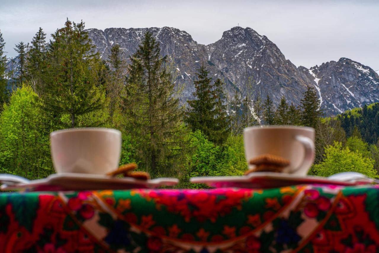 Bialy Mis Apartamenty Art & Design Zakopane Esterno foto