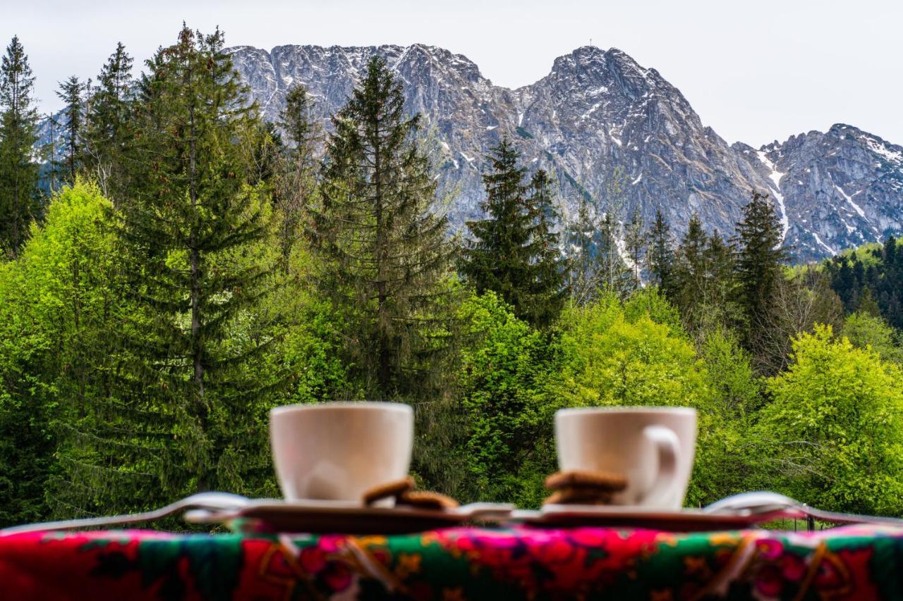 Bialy Mis Apartamenty Art & Design Zakopane Esterno foto